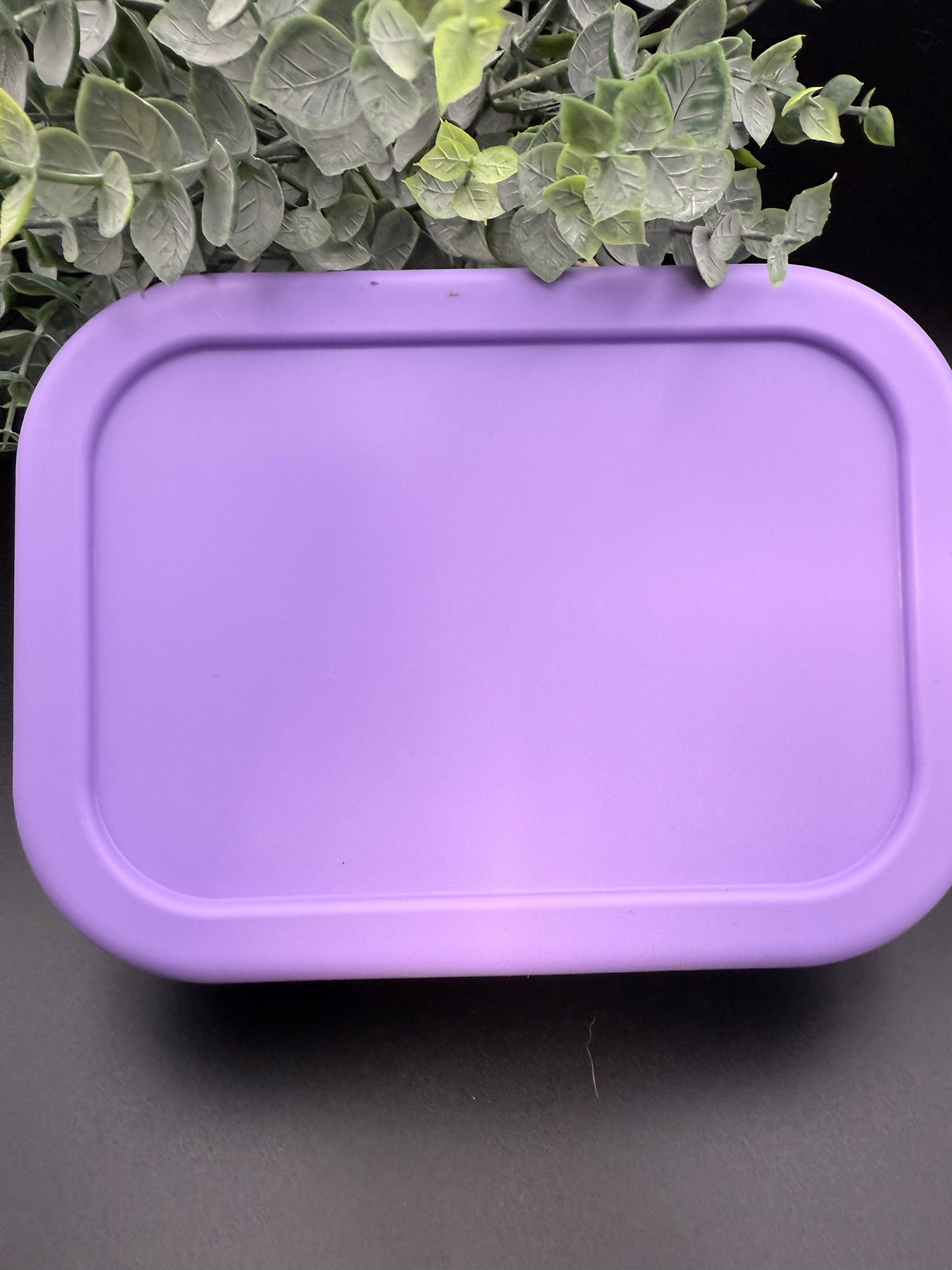 Bento Lunch Box