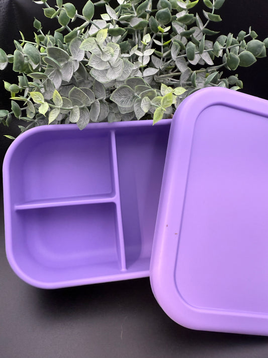 Bento Lunch Box